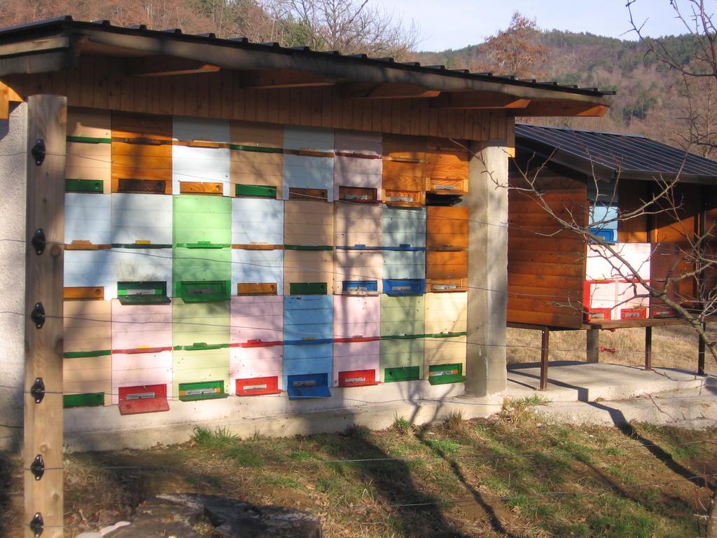 Guest House Roze Ілірська Бистриця Екстер'єр фото